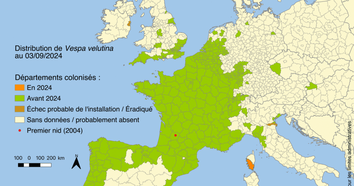carte d'implantation du frelon asiatique