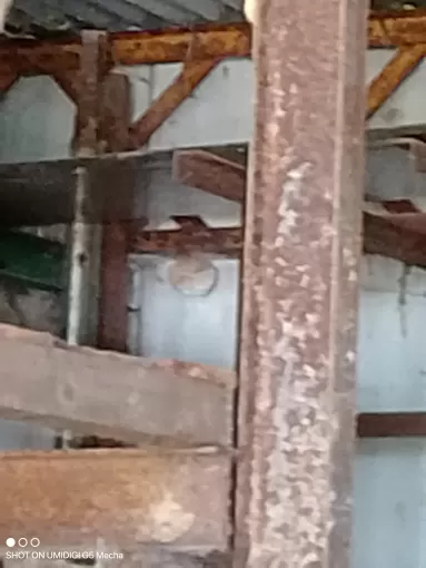 Traitement d'un nid de frelon asiatique sous une étagère en urgence à Castillones, Marmande, Action Nuisibles 47