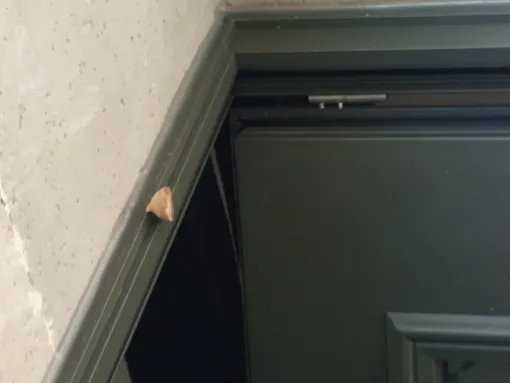 Traitement d'un nid de frelons asiatiques sur le seuil de porte d'une maison à Nérac, Marmande, Action Nuisibles 47