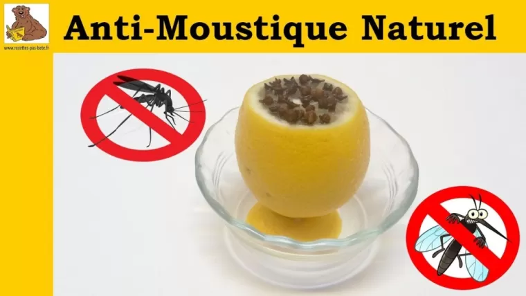 anti-moustiques naturel
