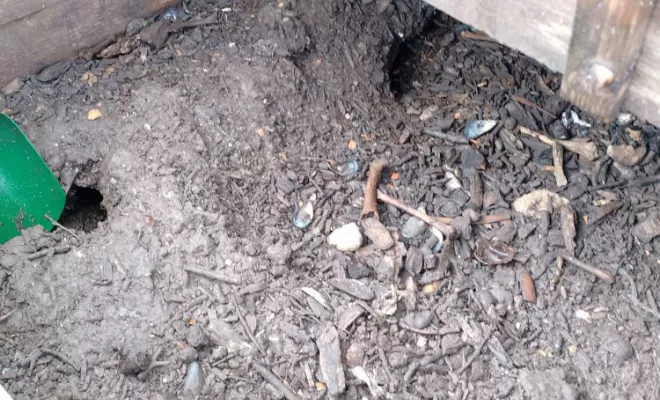 Dératisation dans un jardin à Lavergne, Marmande, Action Nuisibles 47