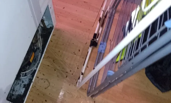 Traitement pour un problème de cafard dans un logement situé à Aiguillon, dans le Lot-et-Garonne, Marmande, Action Nuisibles 47